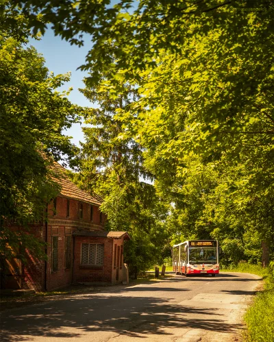 mrsopelek - Dziś taki sympatyczny obrazek z peryferii miasta. Bardzo lubię linie podm...