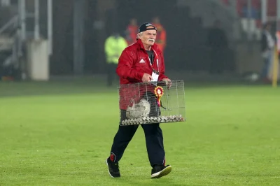 yourgrandma - No i nie będzie już kogutów (╯︵╰,) #ekstraklasa #gornikzabrze