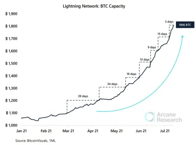 KryptoHype - Lightning Network rozpędza się coraz szybciej, ostatnia adaptacja w Salw...