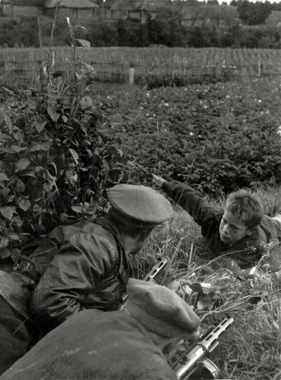 myrmekochoria - Chłopiec wskazuje niemieckie pozycje rosyjskim żołnierzom nieopodal L...