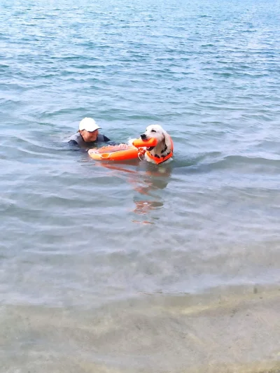 KombajnDoZbieraniaNiosekPoWioskach - @matra: polecam pływanko, na zdjęciu Orion holuj...