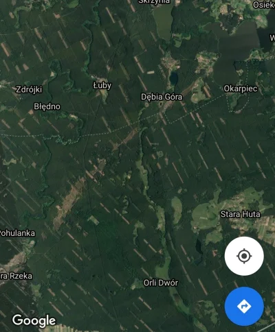 mk-pl-37 - @Danuel Tak obecnie wyglądają lasy w Polsce. Tu akurat Bory Tucholskie ......
