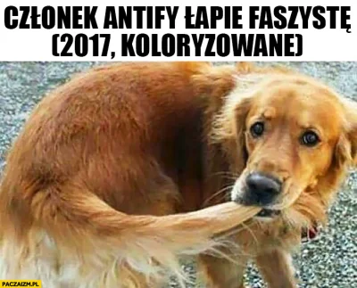 L3stko - @Fako: od 2017 nic się tam nie zmieniło.