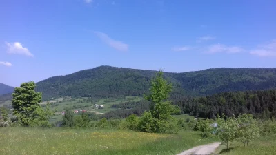 WR9100 - Widok z zielonego szlaku w stronę szczytu Łopień: