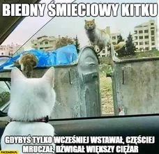 snieg47 - #memy #koty 
#przegryw #heheszki
