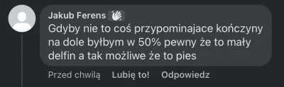 Brajanusz_hejterowy - @jakubbaumann: ( ͡° ʖ̯ ͡°) psuje cała zabawę