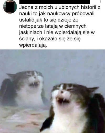 angrymax - Wielkie odkrycia (╭☞σ ͜ʖσ)╭☞
#memy #heheszki #zwierzaczki #humorobrazkowy