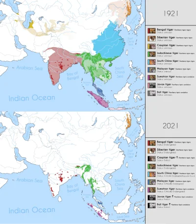 JoeShmoe - Szacowana populacja i występowanie tygrysa i jego podgatunków w odstępie 1...