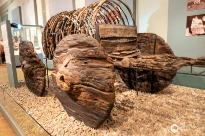 JoeShmoe - Świetnie zachowany 4,000-letni wóz, wykonany tylko z drewna dębowego, odko...
