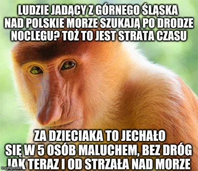 Otter - @soadfan: i jeszcze się człowiek cieszył że robota była