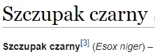 l.....e - a co z tym koleżką?!