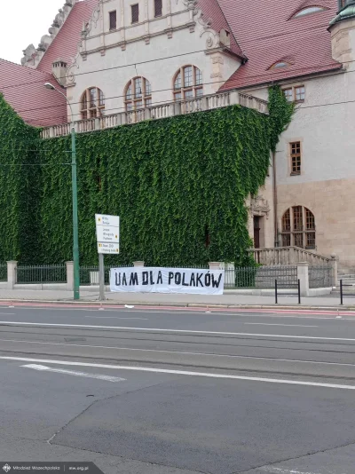 Ratelmidozer - ᶘᵒᴥᵒᶅ
#uam #poznan #mlodziezwszechpolska #bekazprawakow