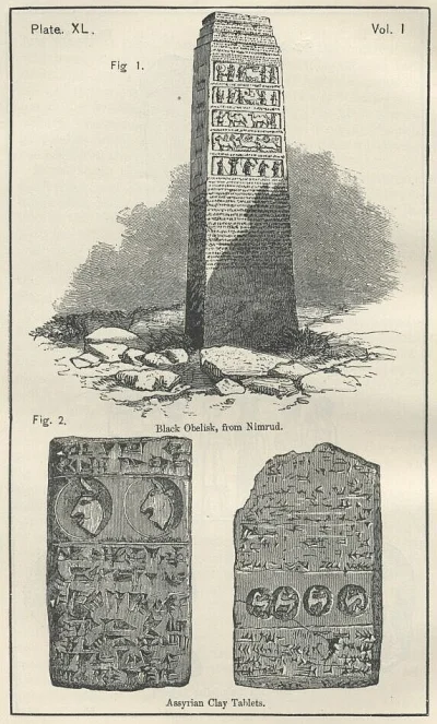 myrmekochoria - Czarny obelisk.