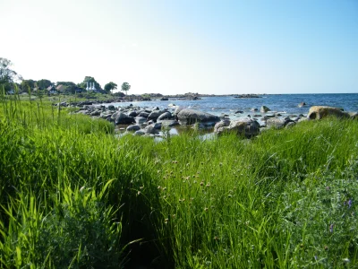 ciemnienie - Widok ze wchodniego wybrzeża Bornholmu. Wzięło mnie na wspominki...
#po...