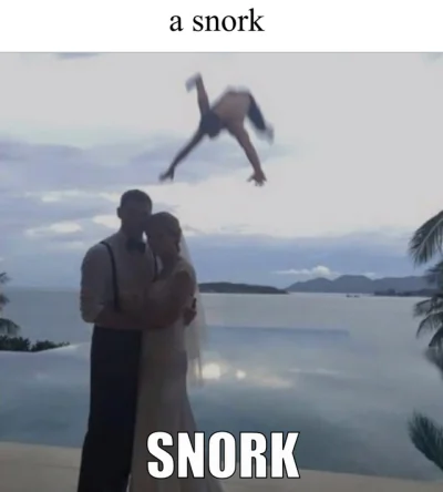 zacky - Snork
#stalker