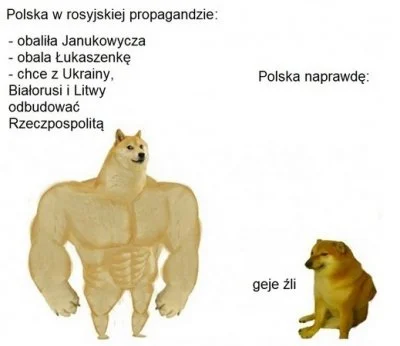 kamilm119 - #bialorus #rosja #memy 

hej, szukam tłumaczenia na ruski tego mema. La...