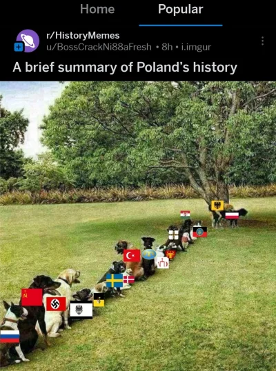 NiebieskiGroszek - #memyhistoryczne #heheszki #polska #humorobrazkowy