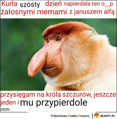 o__p - #konkursnanajbardziejgownianymemznosaczem