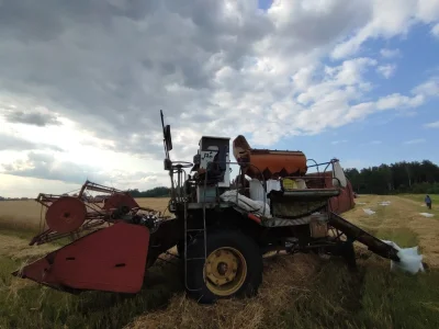 popovonkox - Grupa rekonstrukcyjna "Żniwa jak za Gomułki" znowu w akcji. 30 hektarów ...