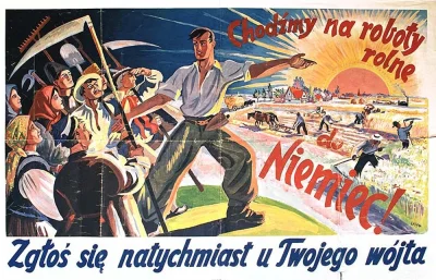 sketel - Takie niemieckie/nazistowskie plakaty adresowane do Polaków wisiały podczas ...