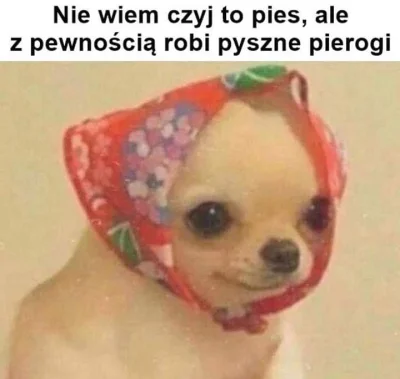 M.....a - #smiesznypiesek #piesio #humorobrazkowy #heheszki