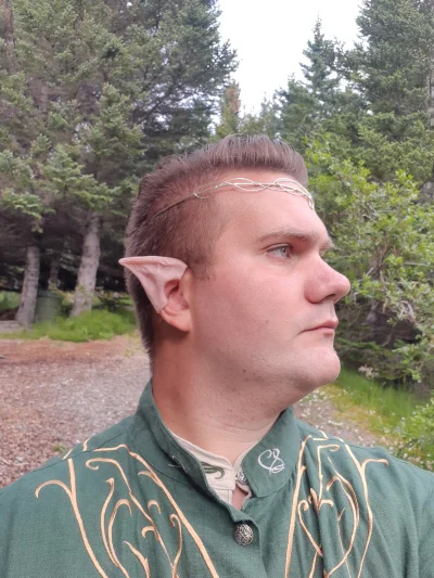 G.....y - > The face of Elrond was ageless, neither old nor young, though in it was w...