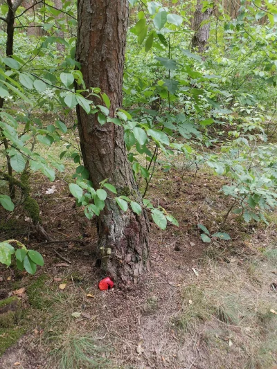 wojtekbezportek - @tasak Poznań, w grę wchodzi całe miasto i okolice. 
Dzis zostawili...