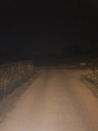 SilesianBear - Spacer w nocy
Słychać świerszcze
Jest w pyte