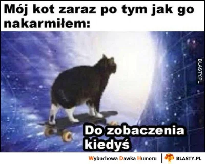 Sandrinia - Tak właśnie jest z tymi roszczeniowymi k0tkami ( ͡° ͜ʖ ͡°)
#koty #hehesz...