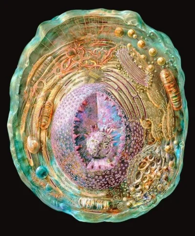 Tygrysia_Lilia - Najbardziej szczegółowy obraz komórki ludzkiej.
Mikroskopia krioele...
