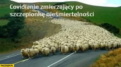 januszzczarnolasu - > Proboszcz: "Niech Bóg błogosławi tych, którzy się nie szczepią"...