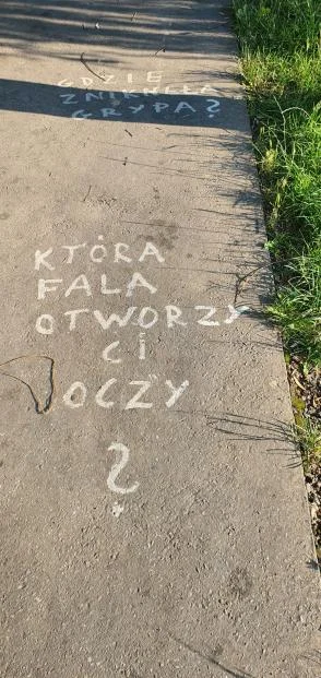 Wanzey - SZURSKIE SZEREGI MAŁY SABOTAŻ XDDD
#krakow #nowahuta #bekazantyszczepionkow...