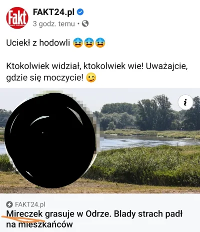 gdyzgasnieswiatlo - Mireczek uciekł, uważajcie :(
#heheszki #humorobrazkowy