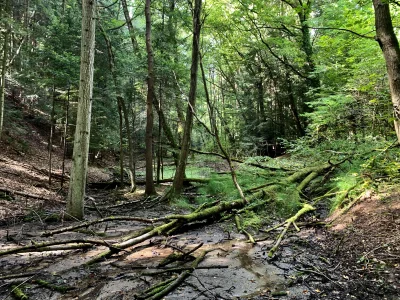 dzana - Mirki z #rower #mtb

Też tak macie że jak okazuje się, że droga przez pola al...