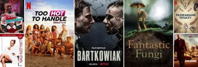 upflixpl - Bartkowiak i inne dzisiejsze premiery w Netflix! Lista tytułów

Dodane t...