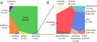 Lifelike - Globalne rozmieszczenie biomasy według taksonów
(1 GtC = miliard ton węgl...