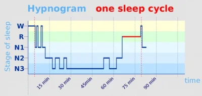 Trewor - @Dreampilot: Masz rację, że REM jest "końcem" cyklu. Bym powiedział zależy j...