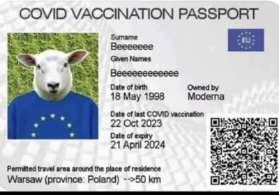 kutwa_sprytny - To mój paszport