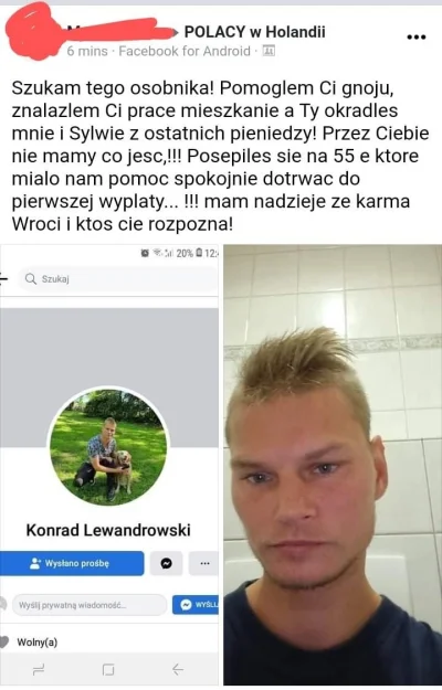 Coxex - Patoemigracja nie zawodzi

#heheszki #humorobrazkowy #holandia #emigracja