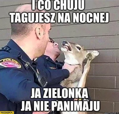 Zgrywajac_twardziela - Co tu dzisiaj się dopiero**** z tymi tagami? ヽ( ͠°෴ °)ﾉ