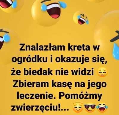 Kipciu - #heheszki #humorobrazkowy #grazynacore