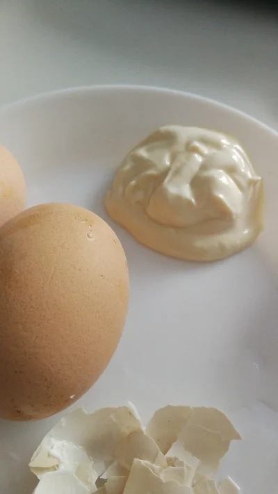 dzorban - Kiedy #majonez #kielecki widzi jajka
#majonezkielecki #humorobrazkowy #hehe...