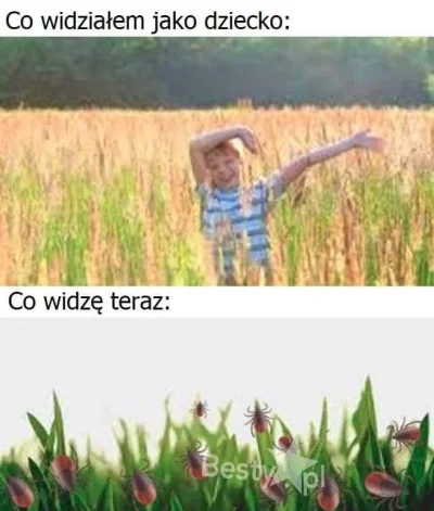 SzycheU - Kiedy widzę, że jakaś dziewczyna wrzuca na fb zdjęcie gdzieś na łące w zaro...