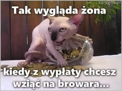 Yogi282 - #memy Ma ktoś czystą wersje bez napisów