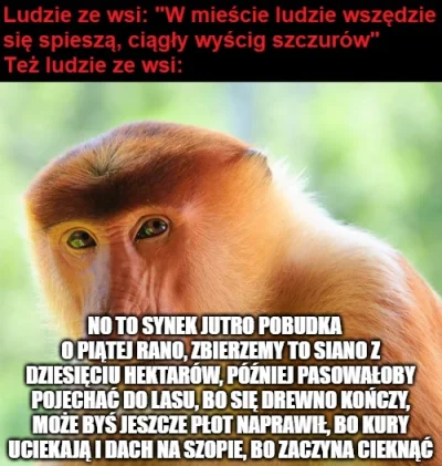 k.....o - Kult zapie%dolu na wsi
#patologiazewsi #nosaczsundajski #humorobrazkowy