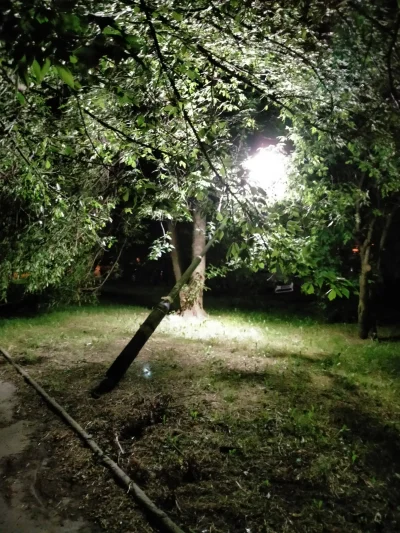 ghoulas - #wroclaw Bajana - latarnia przy chodniku postanowiła sobie odpocząć na pobl...