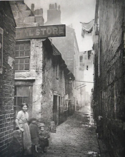 myrmekochoria - Glasgow, 1870. 

#starszezwoje - tag ze starymi grafikami, miedzior...