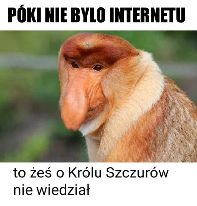 o__p - #konkursnanajbardziejgownianymemznosaczem #heheszki #humorobrazkowy