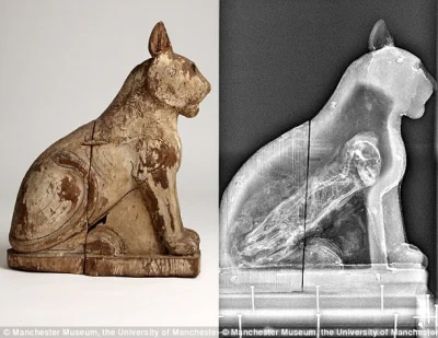 HeruMerenbast - Prześwietlenie kociego sarkofagu z mumią kota w środku. 
Okres późny...