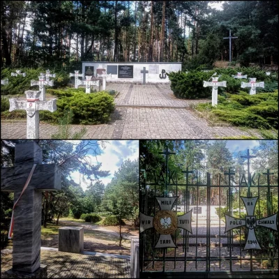 SnikerS89 - > cmentarz żołnierzy AK Grupy Kampinos poległych w Powstaniu Warszawskim,...